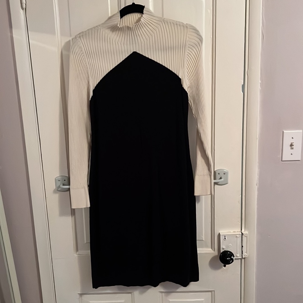 AnnTaylor Large Petite sweater dress
